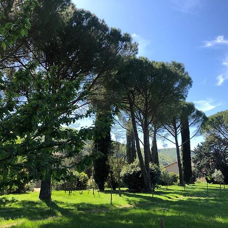 Gite Des Pins Saint-Maurice-dʼIbie 外观 照片