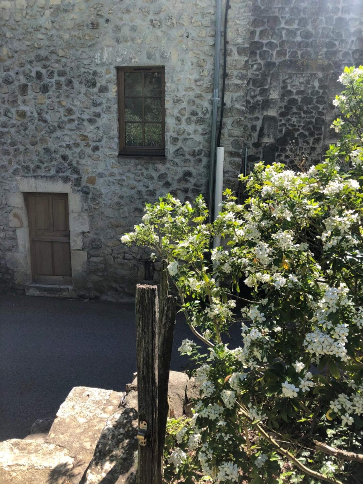 Gite Des Pins Saint-Maurice-dʼIbie 外观 照片