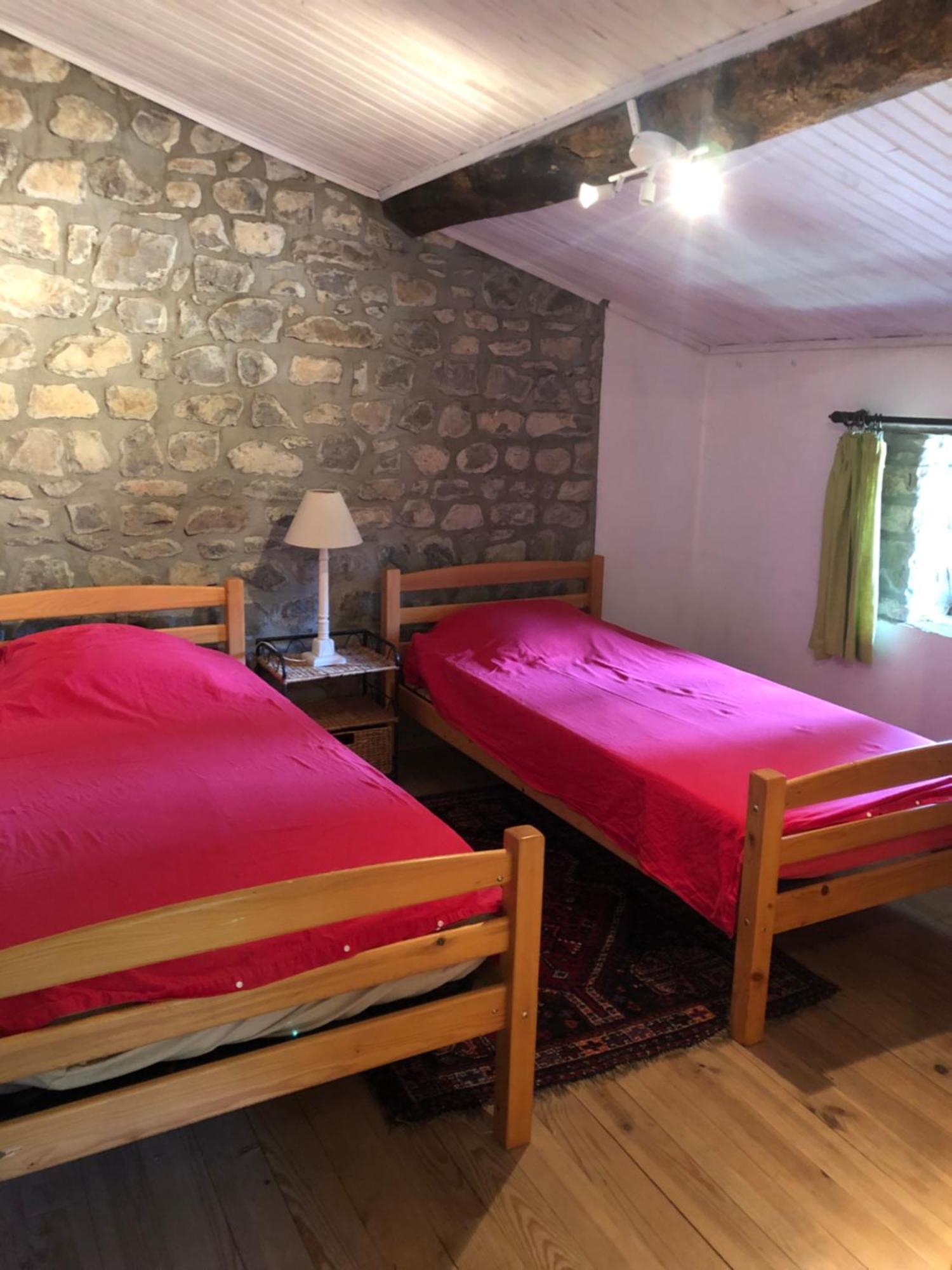 Gite Des Pins Saint-Maurice-dʼIbie 外观 照片