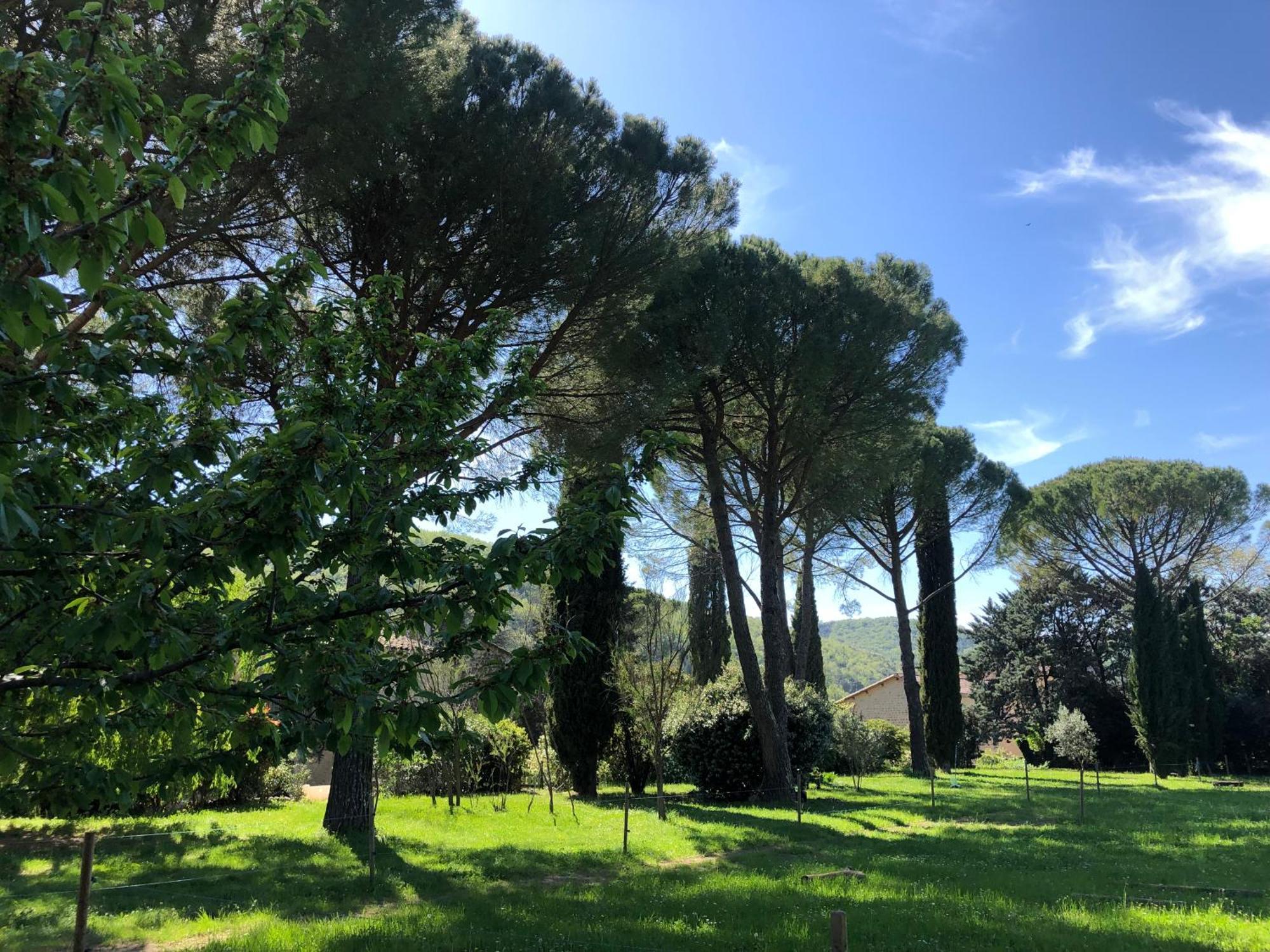 Gite Des Pins Saint-Maurice-dʼIbie 外观 照片