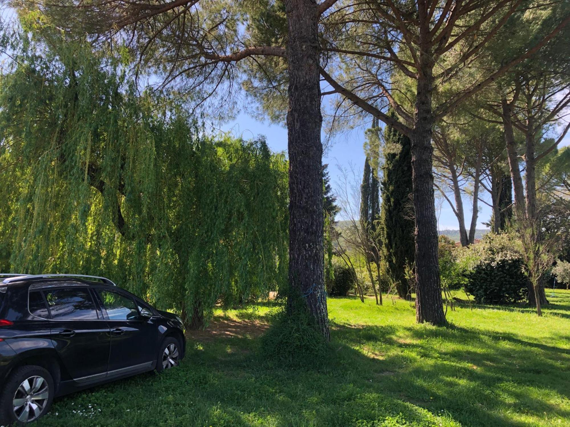 Gite Des Pins Saint-Maurice-dʼIbie 外观 照片