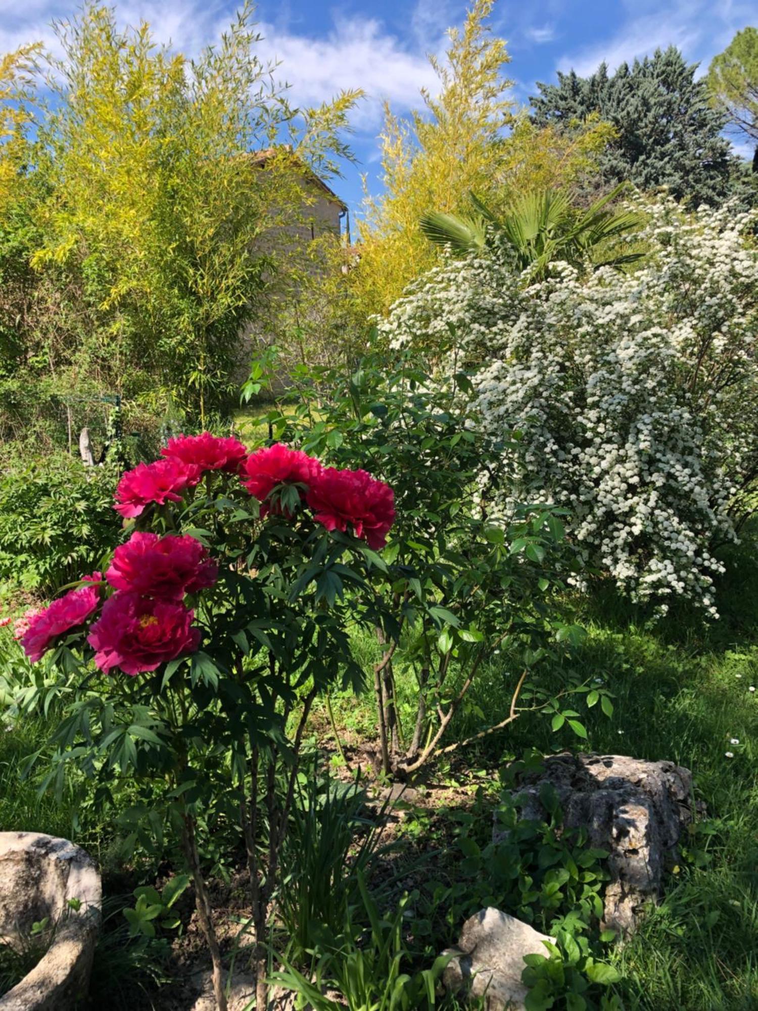 Gite Des Pins Saint-Maurice-dʼIbie 外观 照片