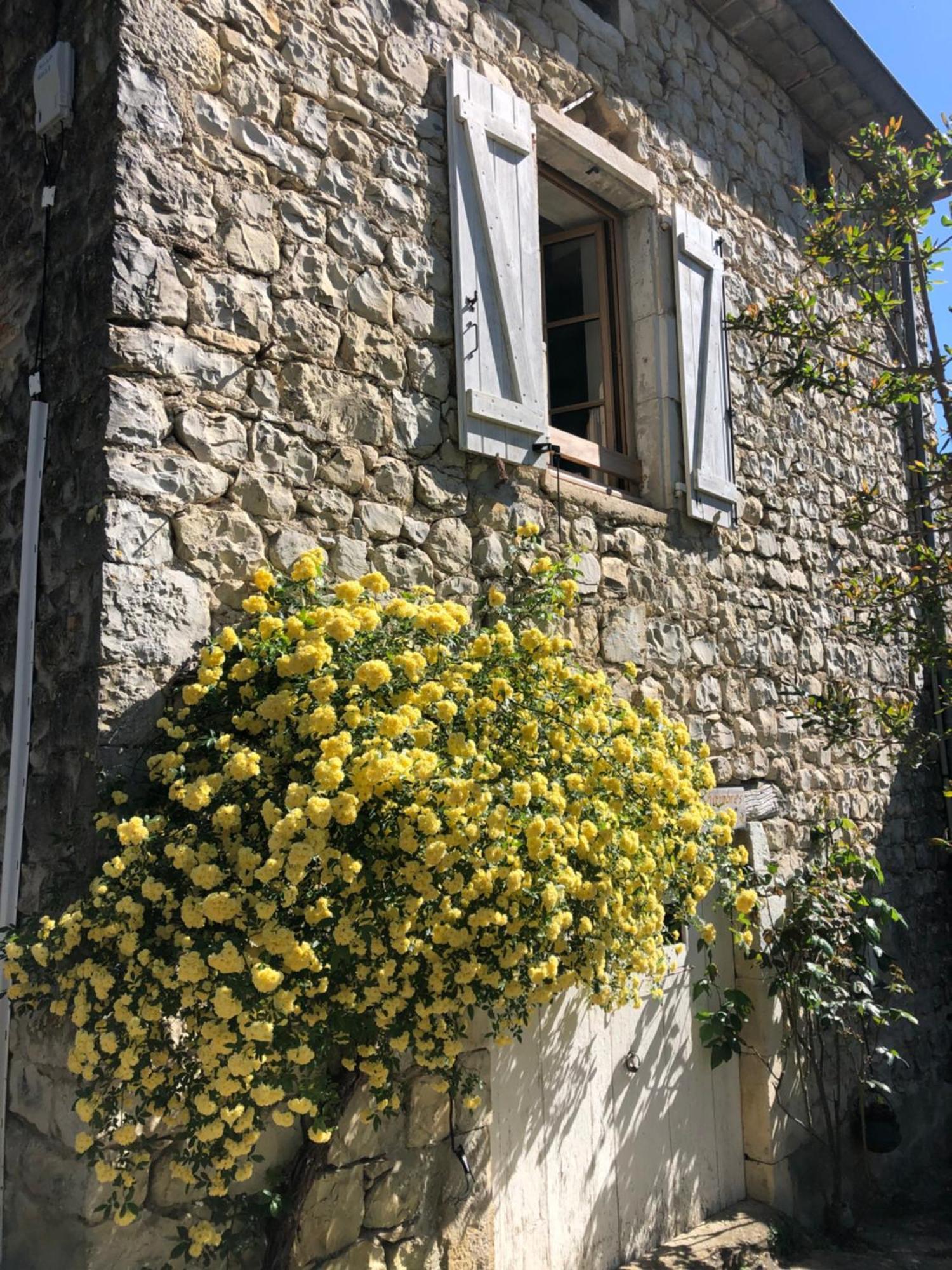 Gite Des Pins Saint-Maurice-dʼIbie 外观 照片